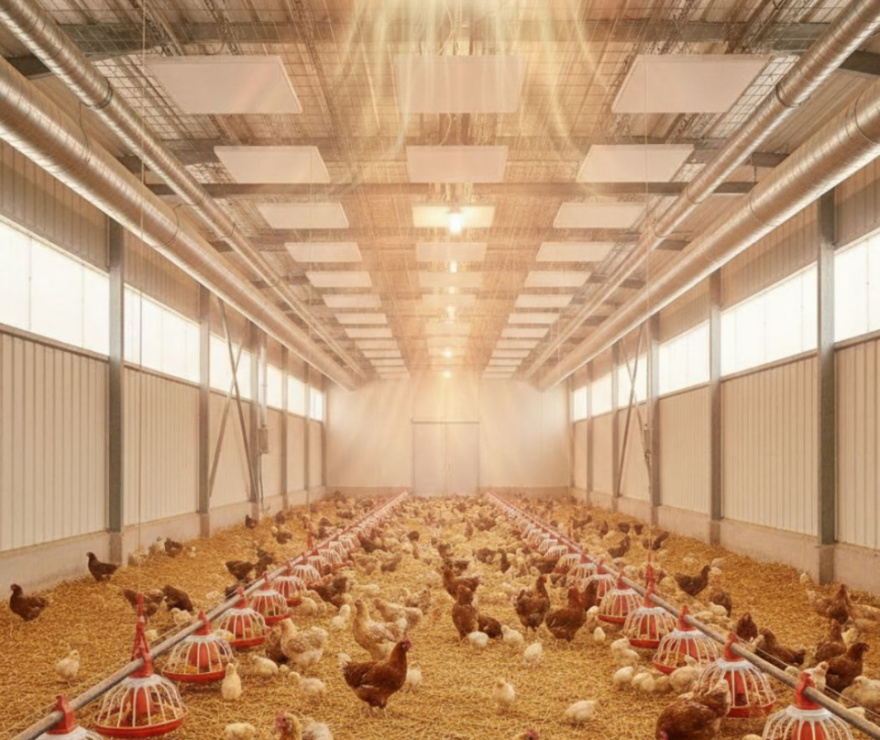 Теплофон-КТ 500 ЭРГНА 0.5/220 (п) инд. уп.