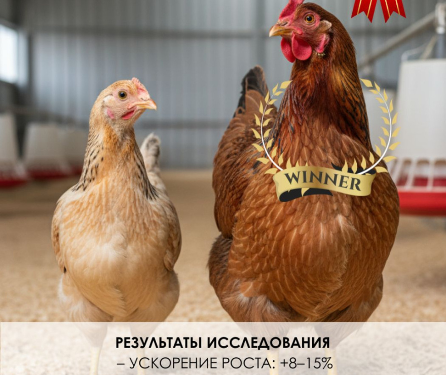 Теплофон-КТ 500 ЭРГНА 0.5/220 (п) инд. уп.