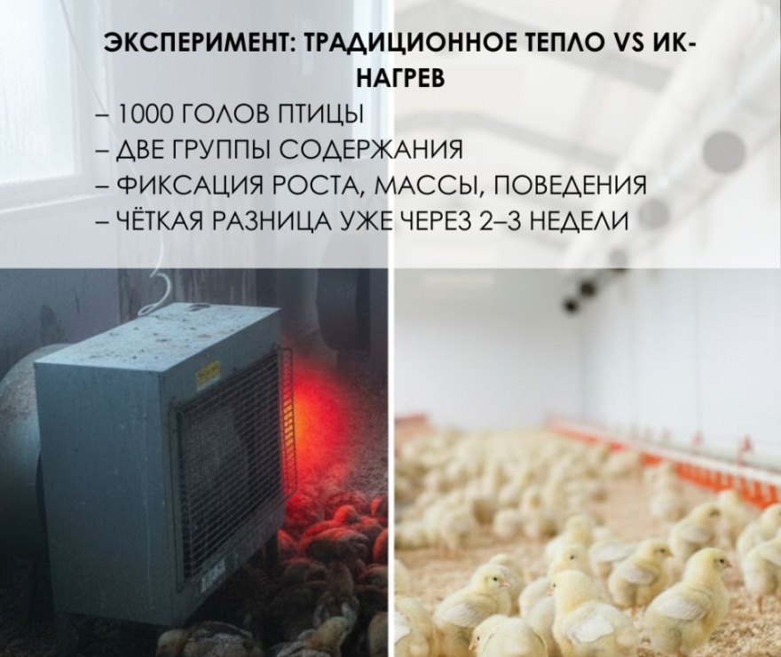 Теплофон-КТ 500 ЭРГНА 0.5/220 (п) инд. уп.