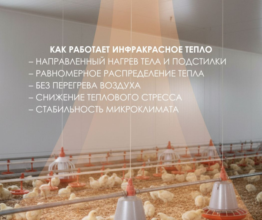 Теплофон-КТ 500 ЭРГНА 0.5/220 (п) инд. уп.